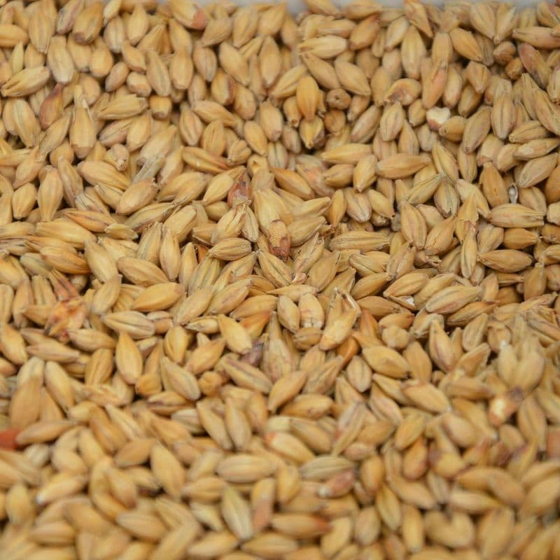 Pale ale malt