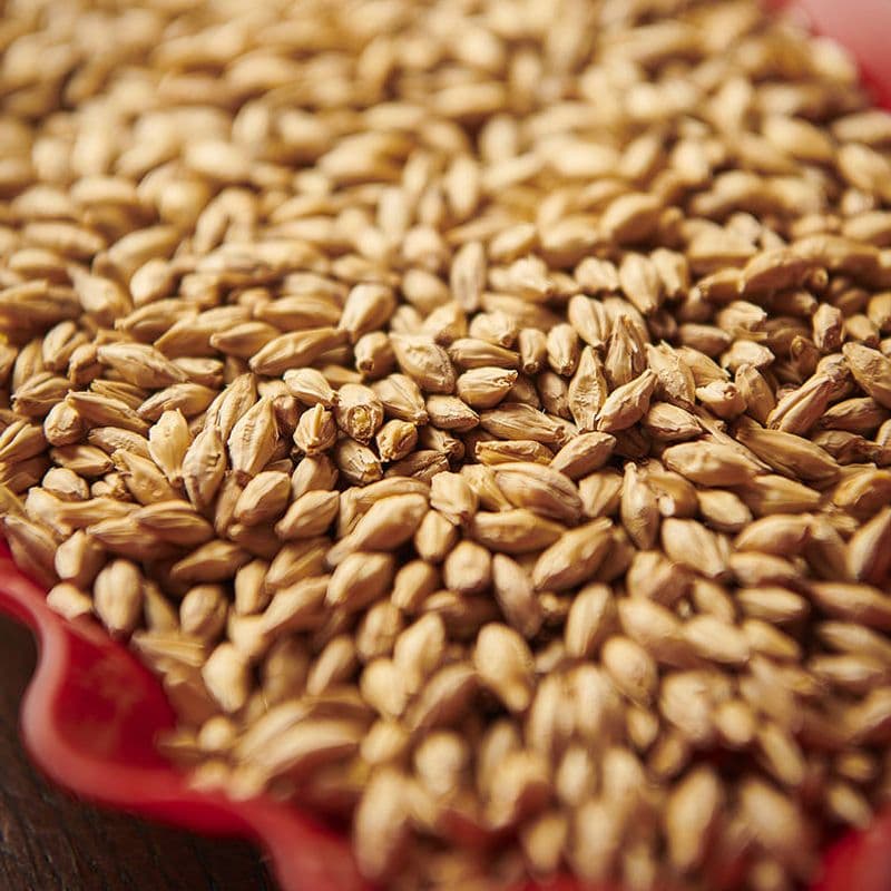 Munich Malt Type 1