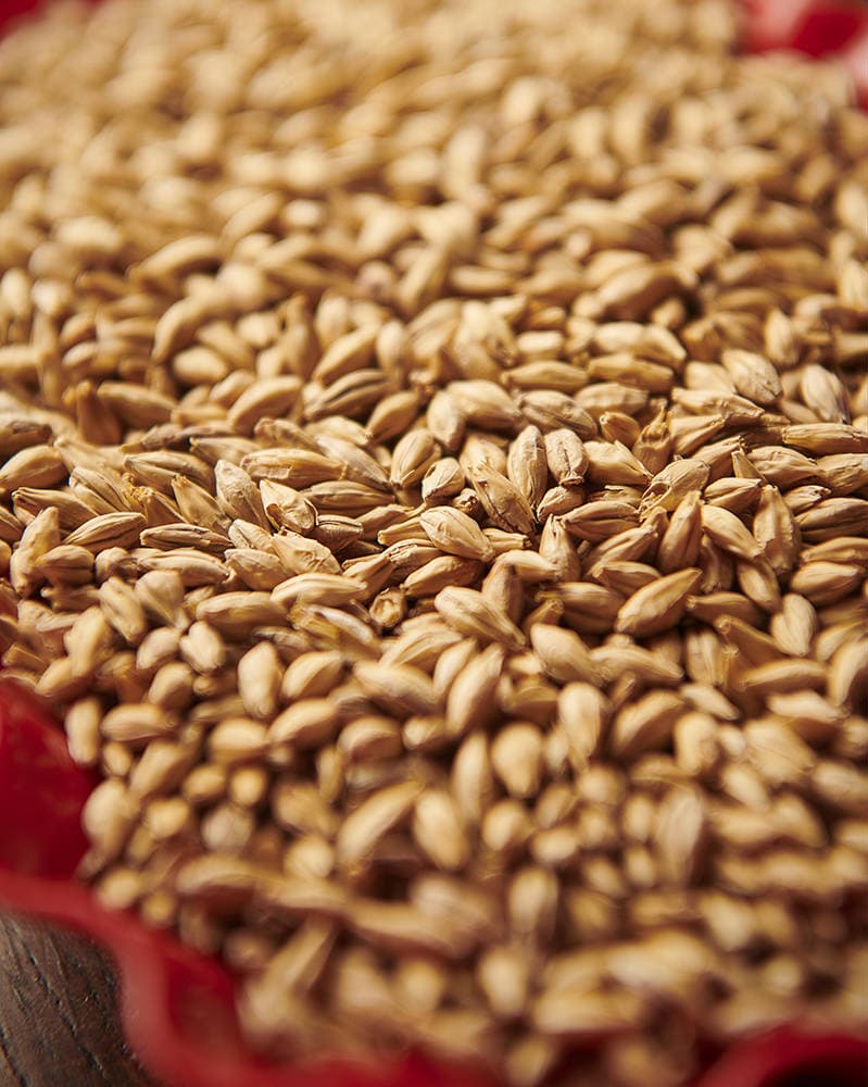 Munich Malt Type 2