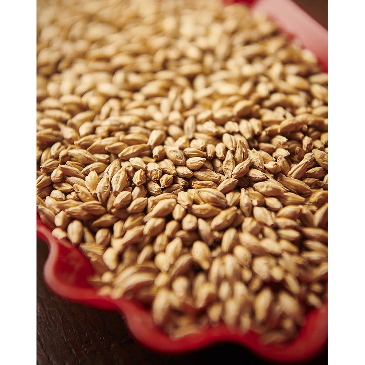 Munich Malt Type 1
