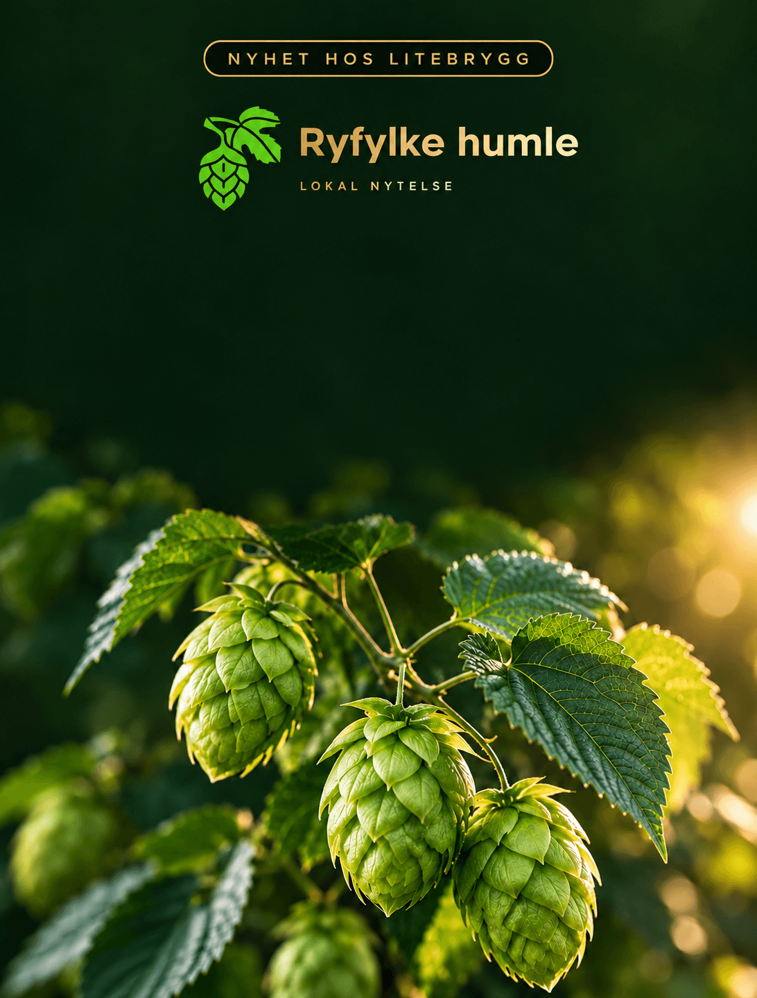Humle fra Ryfylke humle!