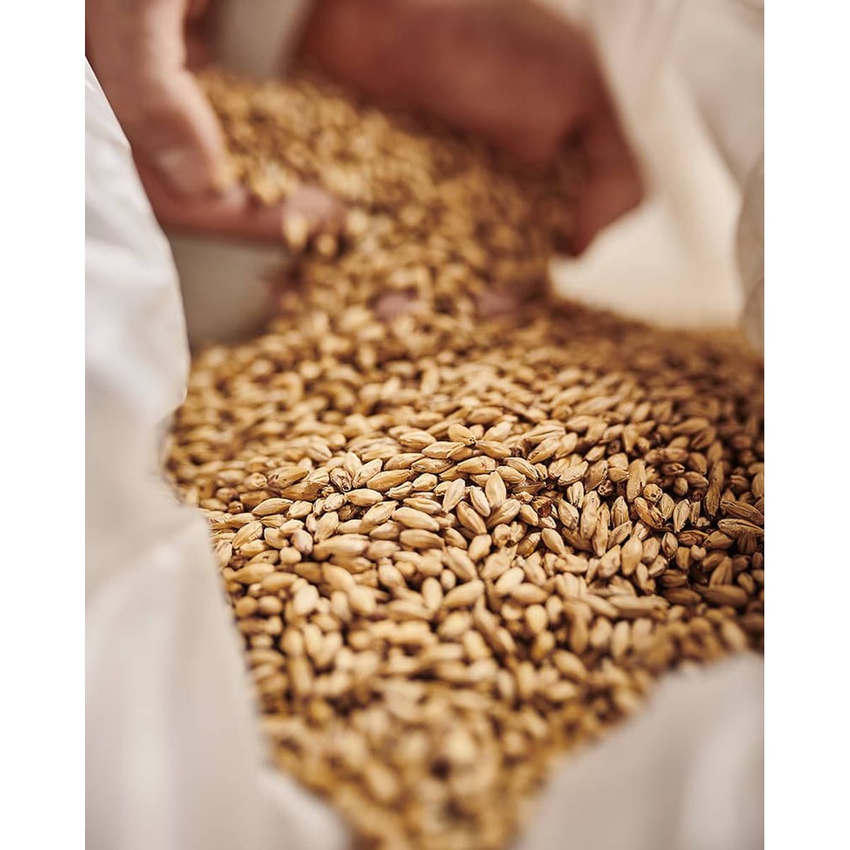 Barke® Munich Malt